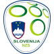 Slovinsko fotbalový dres